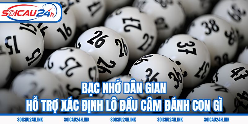 Bạc nhớ dân gian hỗ trợ xác định lô đầu câm đánh con gì