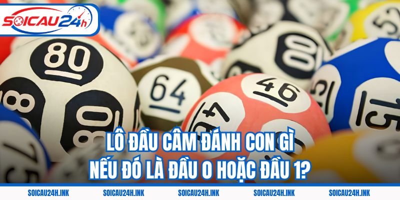 Lô đầu câm đánh con gì nếu đó là đầu 0 hoặc đầu 1?