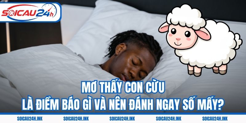 Mơ Thấy Con Cừu Là Điềm Báo Gì Và Nên Đánh Ngay Số Mấy?