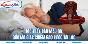 Mơ Thấy Rắn Màu Đỏ – Giải Mã Giấc Chiêm Bao Rước Tài Lộc