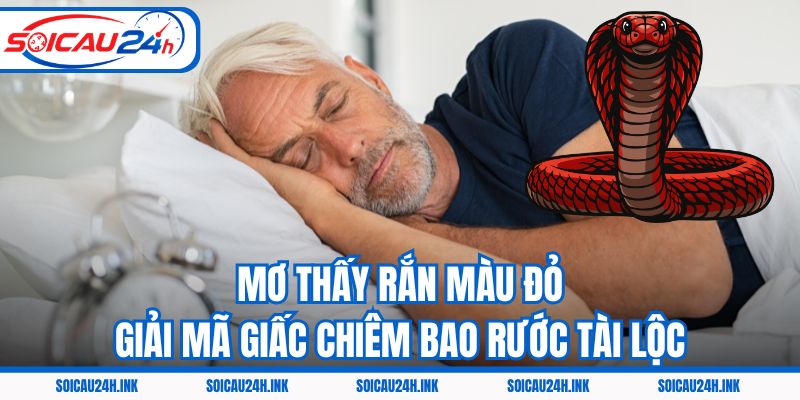 Mơ Thấy Rắn Màu Đỏ – Giải Mã Giấc Chiêm Bao Rước Tài Lộc