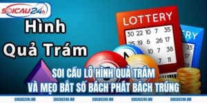 Soi Cầu Lô Hình Quả Trám Và Mẹo Bắt Số Bách Phát Bách Trúng